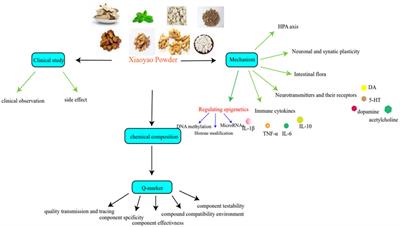 Research on Xiaoyao Powder in the treatment of depression based on epigenetics and quality markers